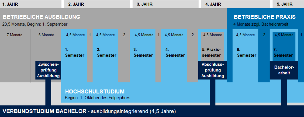Ablauf Verbundstudium